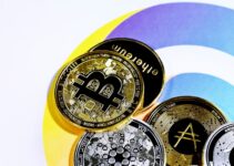 crypto prend valeur